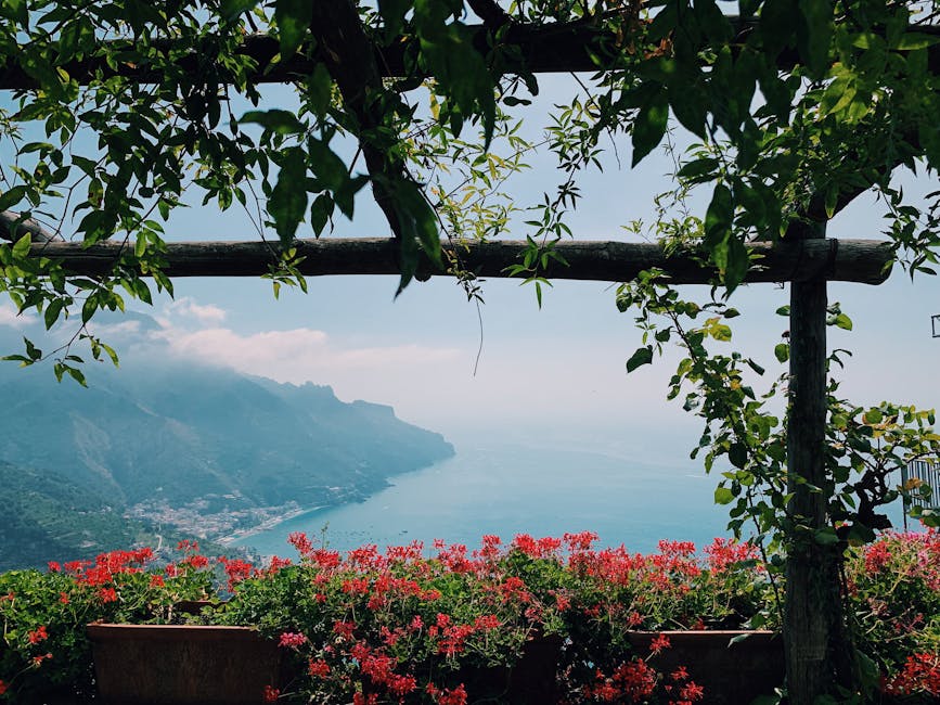 pergola laten plaatsen foto bij Praktische tips voor pergola laten plaatsen