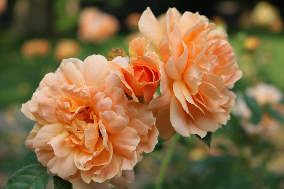 Tuin ophogen foto bij Wat kost een tuin ophogen en hoe kies je het juiste materiaal?