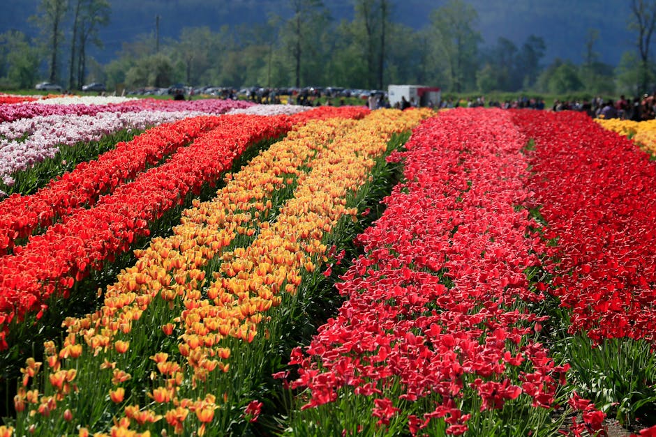 10 tips om te doen in de lente foto bij